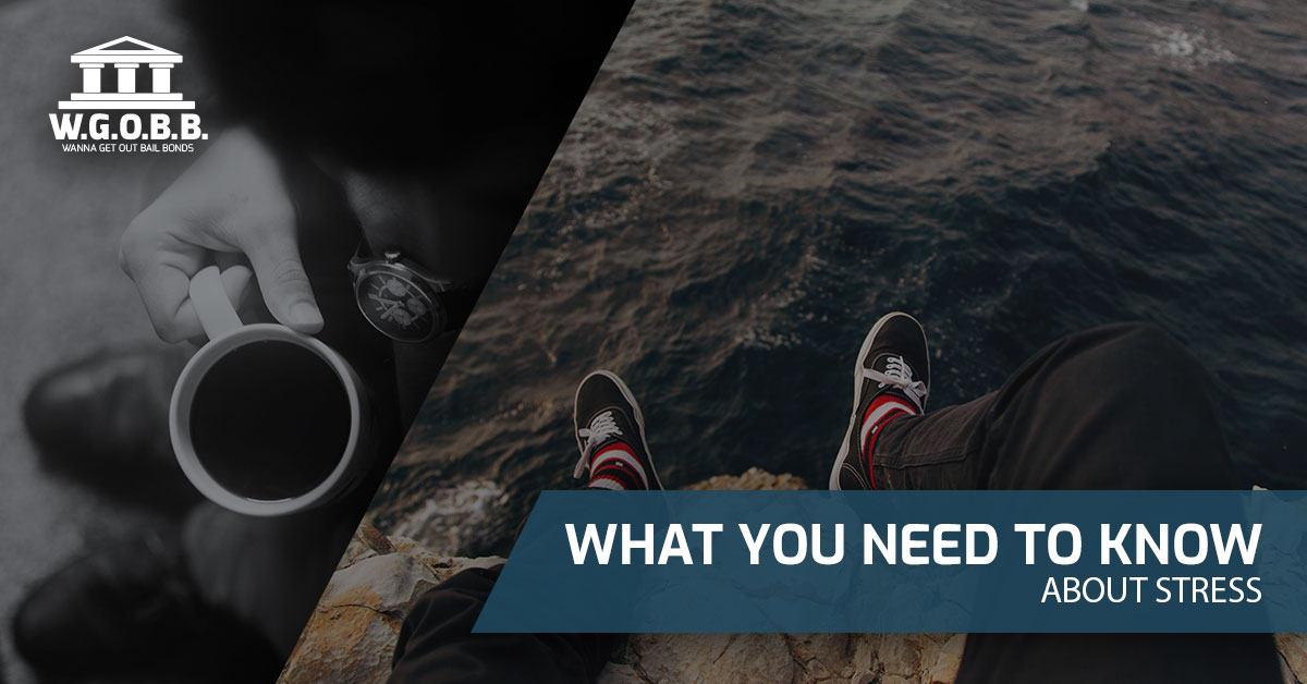 What You Need to Know About Stress