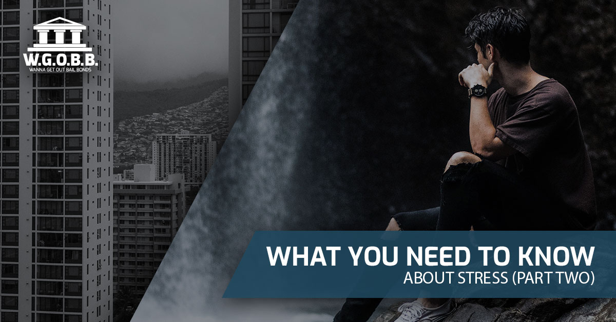 What You Need to Know About Stress