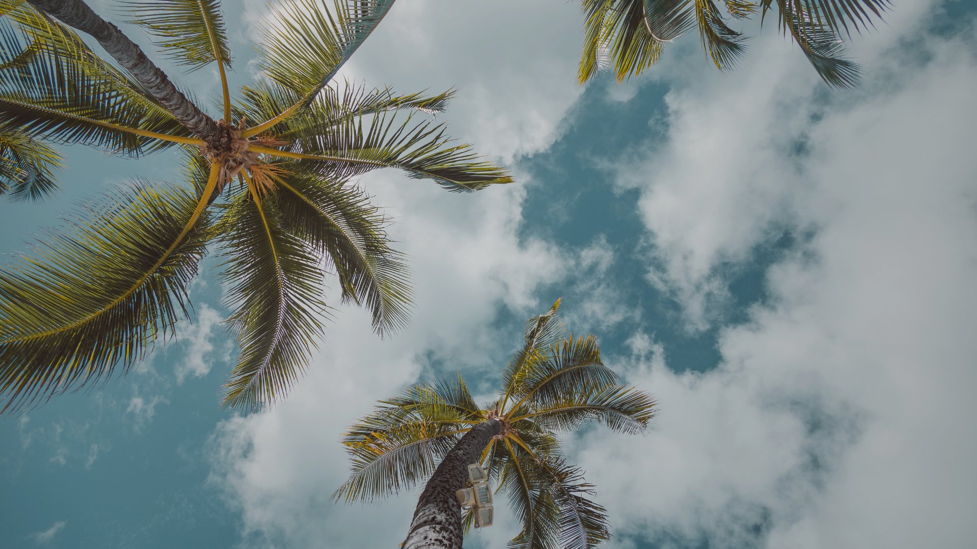 Navigating the Bail Process